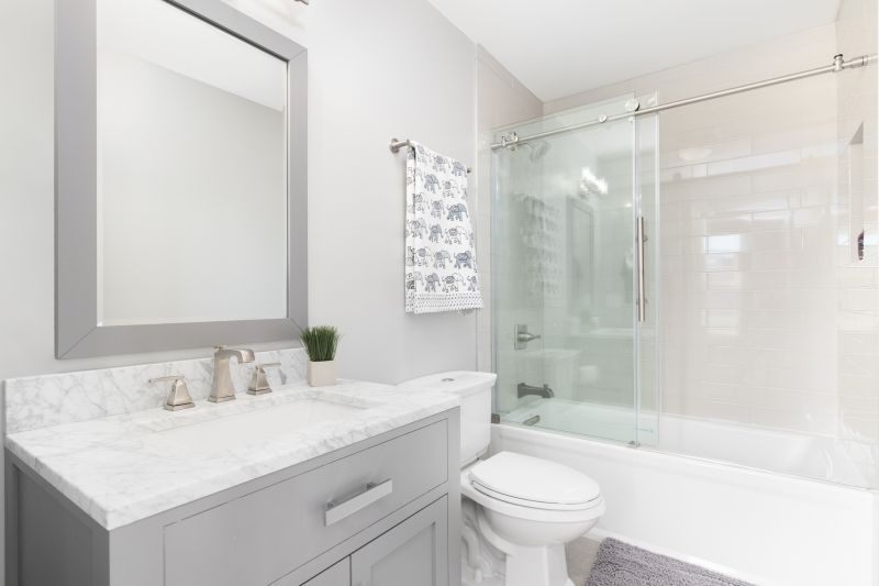Top Tub To Shower Conversion Companies in Monroe, WA